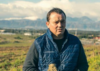 Kleine Zalze Wines Triumphs with First and Second Place in Prescient Cabernet Sauvignon Rankings