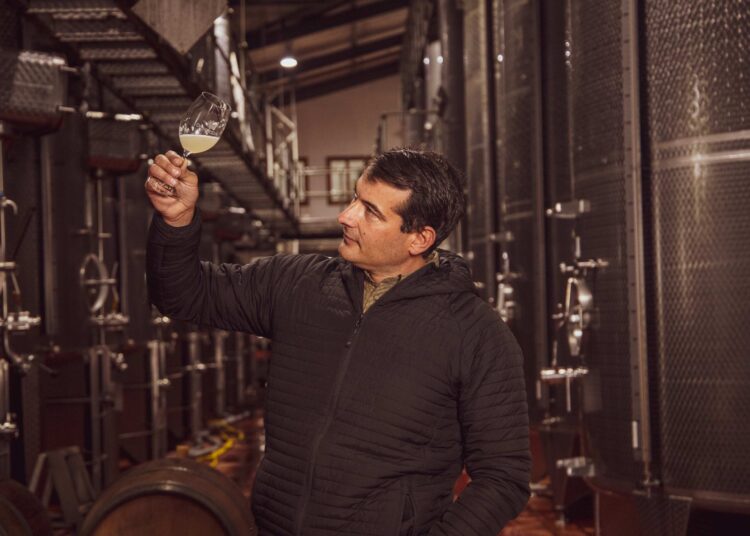 Diemersdal Unveils Exceptional 2024 Sauvignon Blanc Reserve