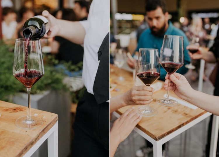 Durbanville Wine Valley’s Premier Winter Red Wine Tasting Event