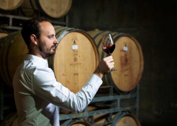 Delheim Estate: A Legacy of Pinotage Excellence Rooted in Stellenbosch