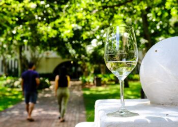 Groot Constantia: Elevate Your Cape Town Summer with Unforgettable Experiences