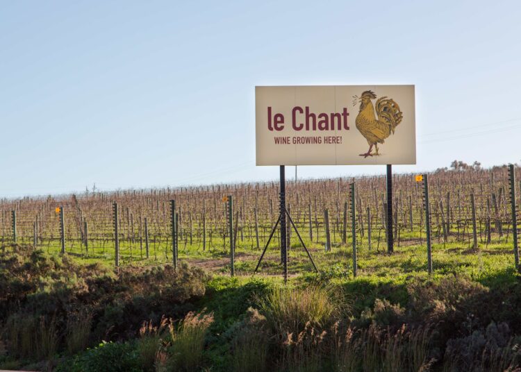 Experience the Symphony: Le Chant Rouge 2020 Arrives