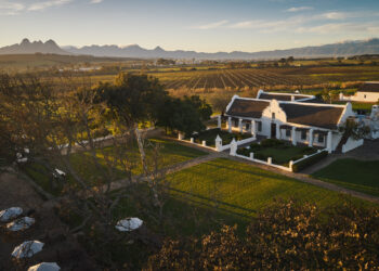 Rooted in Renewal: Vusi Dalicuba Helps Drive Vergenoegd Löw’s Wine Renaissance