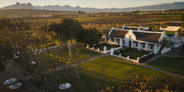Rooted in Renewal: Vusi Dalicuba Helps Drive Vergenoegd Löw’s Wine Renaissance