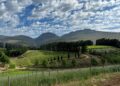Paul Clüver Family Wines Hits 95-Point Milestone in Tim Atkin’s 2026 South Africa Report