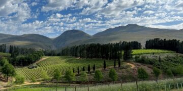 Paul Clüver Family Wines Hits 95-Point Milestone in Tim Atkin’s 2026 South Africa Report